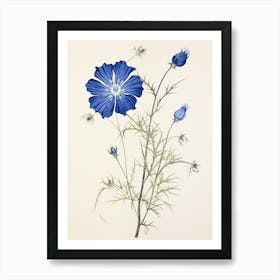 Blue Botanical Love In A Mist Nigella 2 Art Print