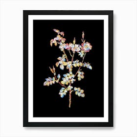 Stained Glass Prickly Sweetbriar Rose Mosaic Botanical Illustration on Black n.0304 Art Print