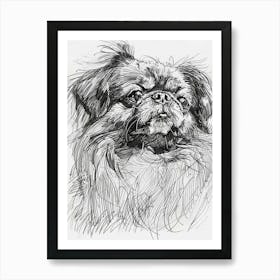 Pekingese Dog Line Sketch 1 Art Print