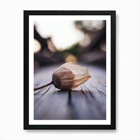 Ephemeral Beauty
A delicate, close-up shot of a dried flower bud with translucent petals, capturing the beauty of nature's impermanence.
Ideal for a bedroom or relaxing space, adding a touch of calm and reflection. Art Print