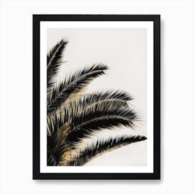 Palm Tree Leaves Art Print