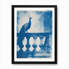 Cyanotype Inspired Peacock Resting On A Handrail 4 Art Print