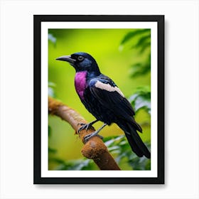 Crowned in Beauty: Fruitcrow Decor 1 Art Print