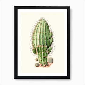 Turk S Head Cactus Marker Art 3 Art Print