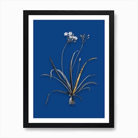 Vintage Allium Fragrans Black and White Gold Leaf Floral Art on Midnight Blue n.0450 Art Print