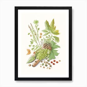 Hops Spices And Herbs Pencil Illustration 1 Art Print