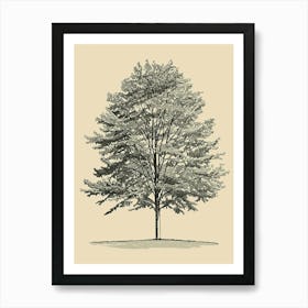 Beech Tree Minimalistic Drawing 2 Art Print