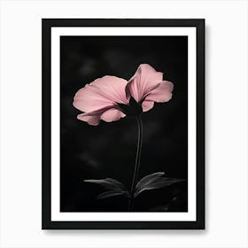 Black And White Flower 1 Art Print