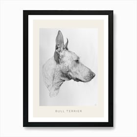 Bull Terrier Dog Line Sketch 2 Poster Art Print