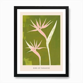 Pink & Green Bird Of Paradise 1 Flower Poster Art Print