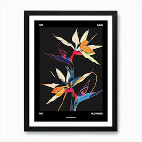 No Rain No Flowers Poster Bird Of Paradise 3 Art Print