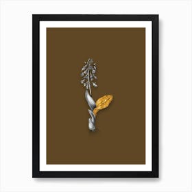 Vintage Brown Widelip Orchid Black and White Gold Leaf Floral Art on Coffee Brown n.0535 Art Print