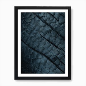 Velvet Black After The Fire Art Print