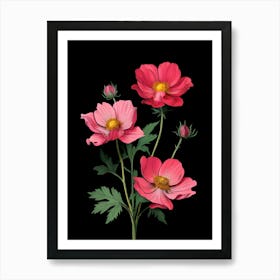 Pink Cosmos Flowers On Black Background Art Print