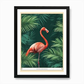 Greater Flamingo Nassau Bahamas Tropical Illustration 5 Poster Art Print