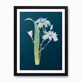 Vintage Butterfly Flower Iris Fimbriata Botanical Art on Teal Blue n.0311 Art Print