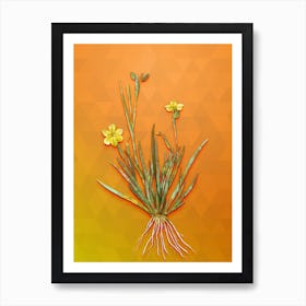 Vintage Yellow Eyed Grass Botanical Art on Tangelo n.0052 Art Print
