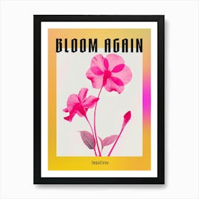 Hot Pink Impatiens 2 Poster Art Print