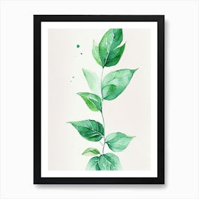 Spearmint Leaf Minimalist Watercolour 1 Art Print