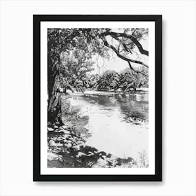 Zilker Metropolitan Park Austin Texas Black And White Drawing 1 Art Print