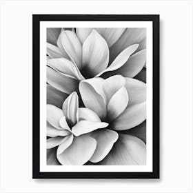 Magnolia B&W Pencil 2 Flower Art Print