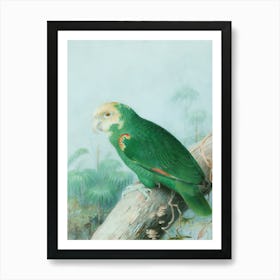 Parrot Perched On A Branch Art Print