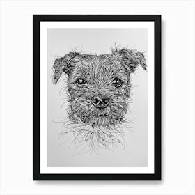 Border Terrier Dog Line Sketch 4 Poster