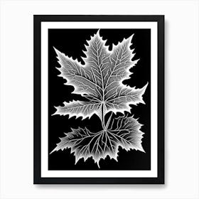 Sugar Maple Leaf Linocut 2 Art Print