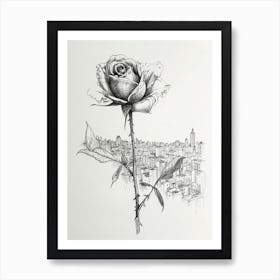 English Rose In The City Line Drawing 2 Art Print