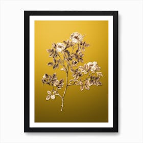 Gold Botanical Rose Corymb on Mango Yellow n.0463 Art Print