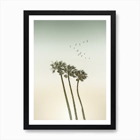 Vintage Palm Trees At Sunset Art Print