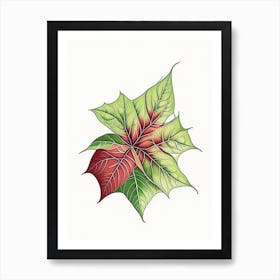 Poinsettia Contemporary 2 Art Print