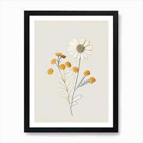 Feverfew Spices And Herbs Retro Minimal 4 Art Print