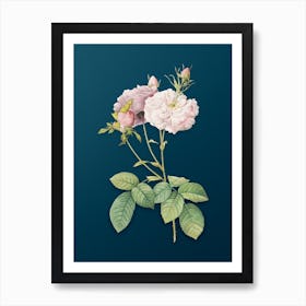 Vintage Damask Rose Botanical Art on Teal Blue n.0548 Art Print