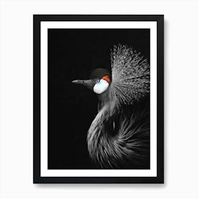 Crowned Crane in Art Print