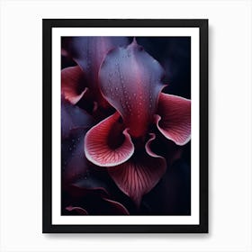 Macro Orchids 2 Art Print
