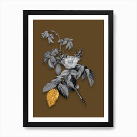 Vintage Apple Rose Black and White Gold Leaf Floral Art on Coffee Brown n.0709 Art Print