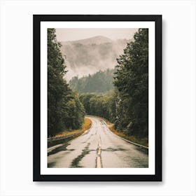 Road To Norway Forest Art Print