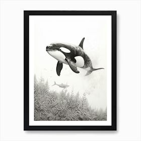 Underwater Realistic Pencil Drawing Orca Whale Art Print