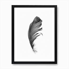 Feather Art Print