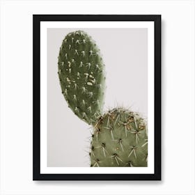 Cactus Pads Art Print