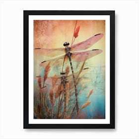 Dragonfly Wetlands Illustration  2 Art Print