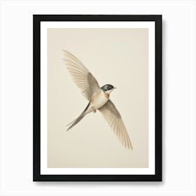 Vintage Bird Drawing Swallow 1 Art Print