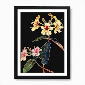 Neon Flowers On Black Lantana 2 Art Print