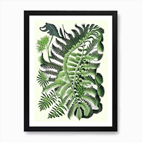 Netted Chain Fern Vintage Botanical Poster Art Print