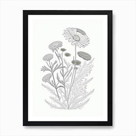 Chamomile Herb William Morris Inspired Line Drawing 2 Art Print