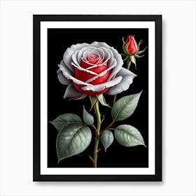 Red Rose On Black Background 4 Art Print