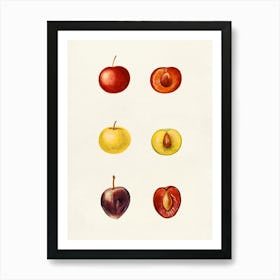 Watercolor Fruit Print Art Print