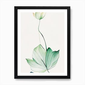 Water Lily Leaf Minimalist Watercolour 1 Art Print