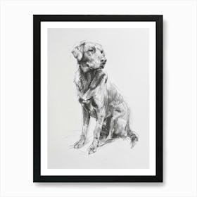 Chesapeake Bay Retriever Dog Charcoal Line 4 Art Print